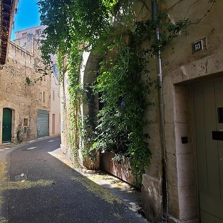 Апартаменти Wifi - Hypercenter - In The Heart Of Avignon! Екстер'єр фото