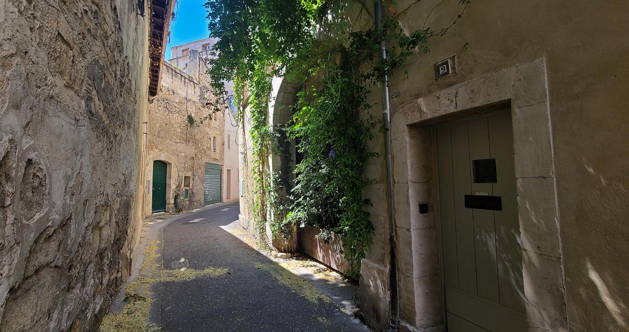 Апартаменти Wifi - Hypercenter - In The Heart Of Avignon! Екстер'єр фото